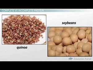 3 Protein Quality & Completeness Types & Examples