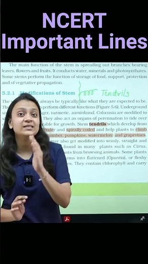 Tendrils - Modification Of Stem | Revision Biology NEET | NCERT Important Lines For NEET |#neet2025