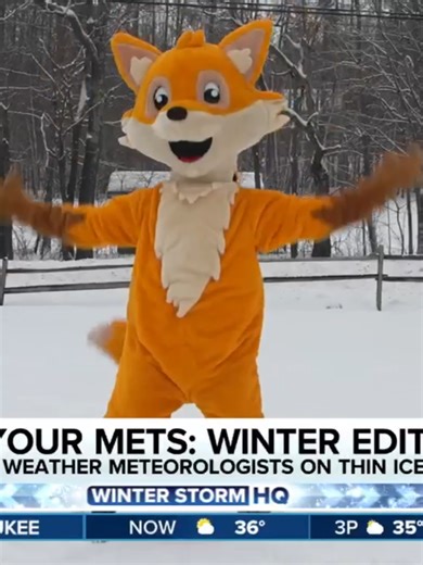 🦊 TEST YOUR METS: FOX Weather Meteorologists @baynefroneyand @kiyanalewiswx are on thin ice as meteorologist @ianoliverwx quizzes them on all things winter 2026. Find out how much they remember!