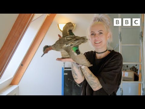 WHEN OPPOSITES ATTRACT | Interior Design Masters - BBC