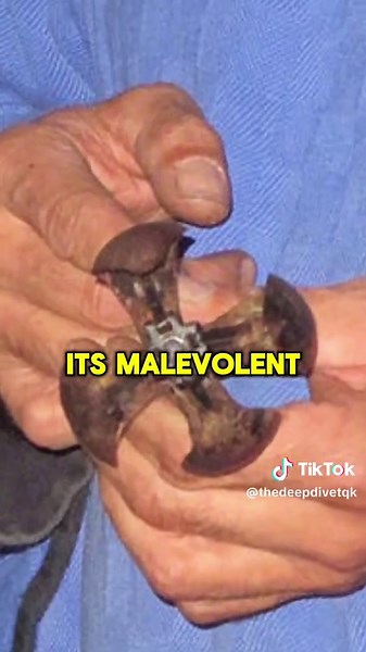 The Choke Pear Torture Method #history #disturbing #thedeepdive