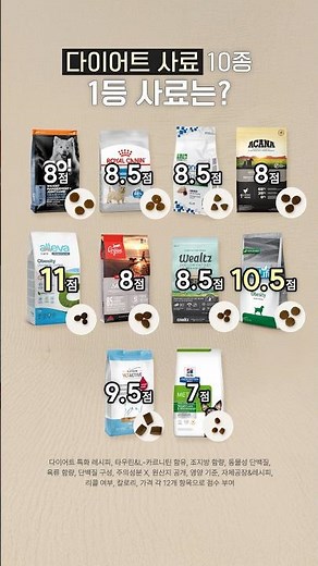 강아지 다이어트 사료 Top10 순위, 1등 사료는?