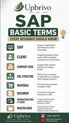 SAP Basic Terms Every Beginner Must Know | SAP Tutorial for Beginners #shorts