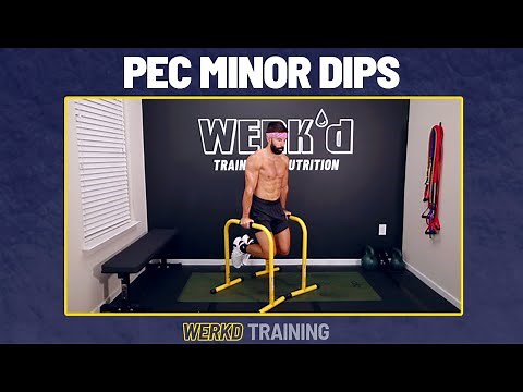 Pec Minor Dip (Straight Arm Dip) | WERKD Training