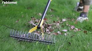 Thatch Rake, Garden Dethatcher Rakes for Lawns Heavy Duty, Metal Thatcher with Double-Sided Sharp Rake Head for Dead Grass Moss Remove, Loosen Soil, 53" Manual Thatching Tool for Gardening, Yard