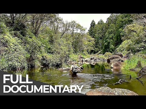 Amazing Quest: Stories from Hawaii | Somewhere on Earth: Hawaii | Free Documentary