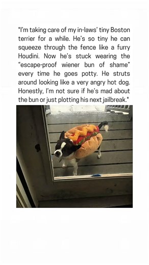 The Escape Artist Has Been Temporarily Neutralized 🌭