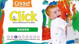 黑熊碧翠斯 Beatrice Black Bear Click点击世界2411-12