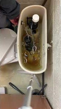 How Your Toilet Actually Works 🚽⚙️ (Stop the Running!)