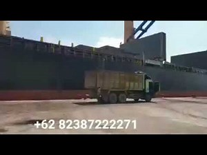 Importer Palm Kernel Shell in Japan (+6282387222271)