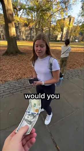 #mrbeast #beast #fyp #viral #money | MrBeast