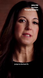 Some neuroscientists say that it's not your brain's job to percieve the world accurately –– its job is to predict outcomes using sensory information to calibrate, update, and fine-tune these predictions. #Neuroscience #BrainHealth #BrainFacts #ScienceExplained | NOVA l PBS