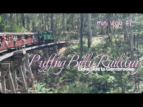 Little Train, Big Views | Puffing Billy Mini Vlog | First Vlog Ever! | Lakeside to Gembrook 🚂✨