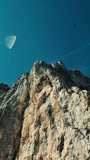 J’ai Filmé la Nature à l’État Pur… Le Résultat est Magique ✨