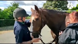 266K views · 10K reactions | Yesterday we said farewell and a happy...