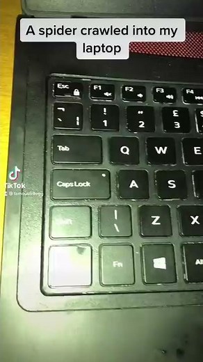 A spider crawled into my computer! #shorts