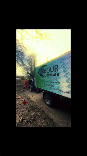 "Clearing out dead ash” 🪚🌳 Safety first, nature second! #TreeSurg...