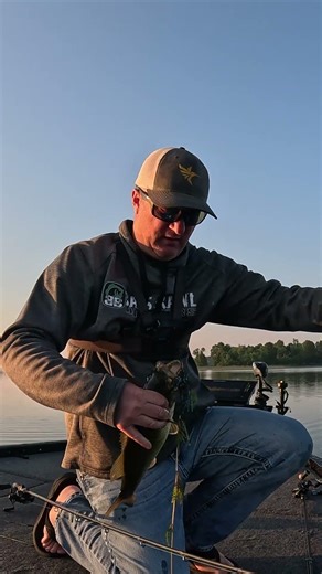 Mega Live 2 Settings #basstips #humminbird #megalive #megalive2 #bassfishing #basspro #trophybass