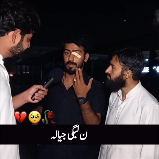 Political Dynamics of Pakistan: PMLN's Influence