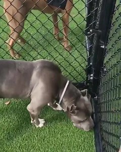 6.8K views · 215 reactions | This Sweet girl has NO EXPOSURE...