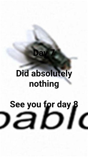 Day 7 of web game #gamedevelopment #html5 #coding #programming #nothing #javascript #js #dailydev