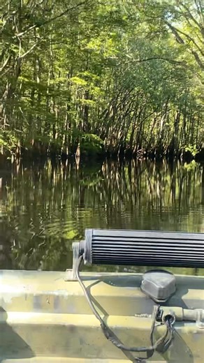 Richard Walker on Reels