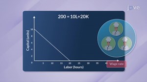 Video: Isocost Line II