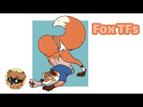 Fox Transformation / Fox TF