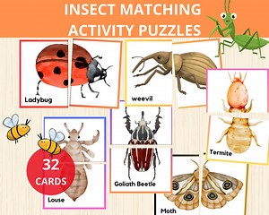 Insect Matching Activity, Insect Puzzles, Insect Symmetry, Bug Matching Game,insect Montessori, Kids Puzzles,bugs Symmetry,symmetry Puzzle - Etsy