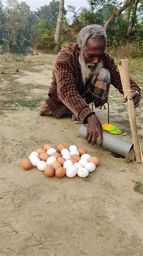 Method of catching rats inside a farmer's pipe #agriculture #short #viral