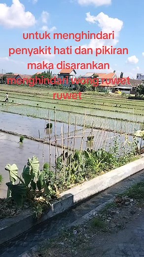 resam (@resam_192)’s videos with DJ CEST LA VIE X O AJA YA KAN - iniranijugaaa