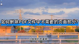 如何删除PDF文件中不需要的页面部分？