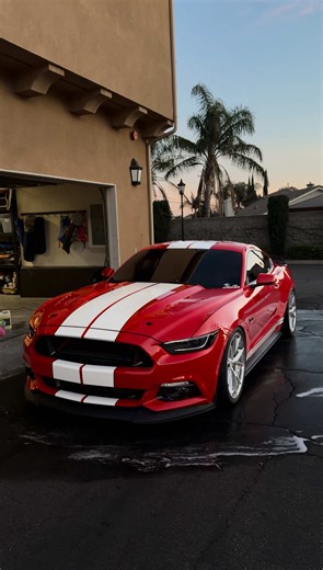 Quick wash 🧼 #mustang #s550mustang #coyotemustang #cars #juniorh | mustang