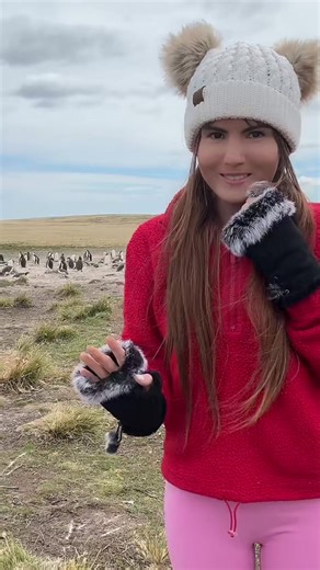 EXTREME CRUISE SERIES: Ship 1: Antarctica🥶 DAY 10- Falkland Islands (Stanley!)🐧 @Lauren Lee @Celebrity Cruises