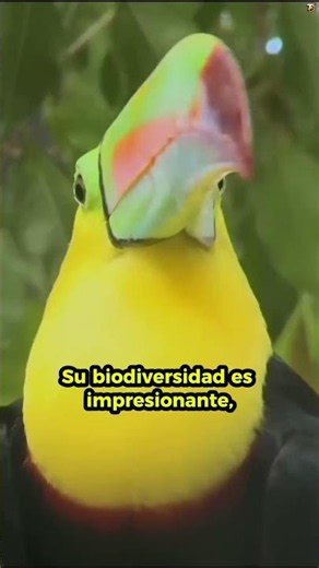 La Selva Amazónica: La Bestia Verde del Planeta