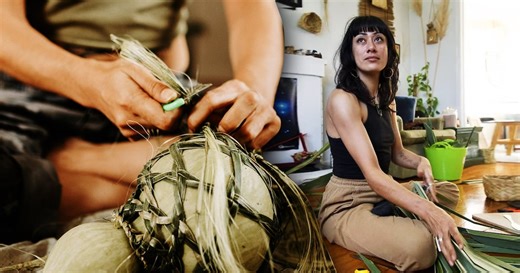 Harakeke can heal ‘forever chemicals’, research shows