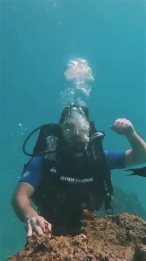 Underwater in Iran’s Persian Gulf 🌊