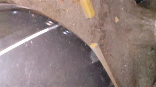 Convivio con Mapaches: Una noche especial