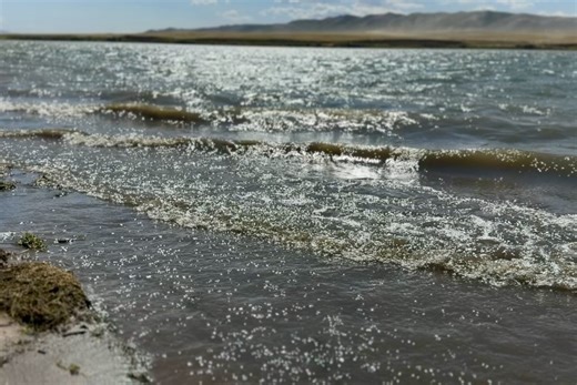 Big Carp Tackle on Reels