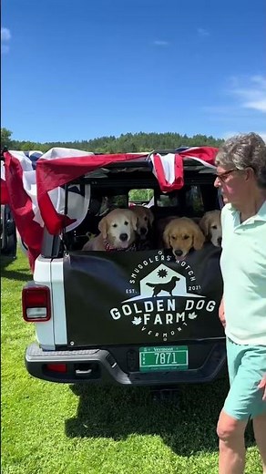 Visit Golden Dog Farm in Vermont for Pure Joy