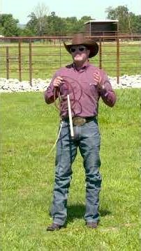 A Stock Whip Makes a Great Desensitizing Tool for Horses