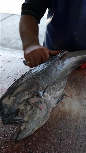 You’ve Never Seen Fish Filleting Like This! How to Skin a Fish Fast 😱