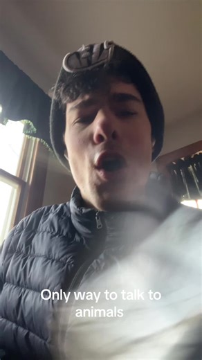 Wha is the science behind Everyone talking in baby voice when they see a cute animals 😭 #fyp #animals #fypシ #lowcortisol