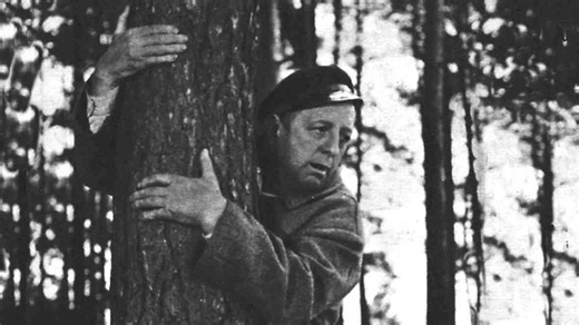 DEFA-Perle jetzt kostenlos streamen: Einer der größten Kultfilme aus der DDR