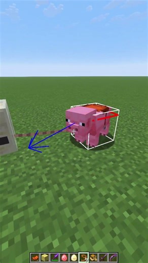 This Pig Travel Glitch is BROKEN #minecraft #shorts #java