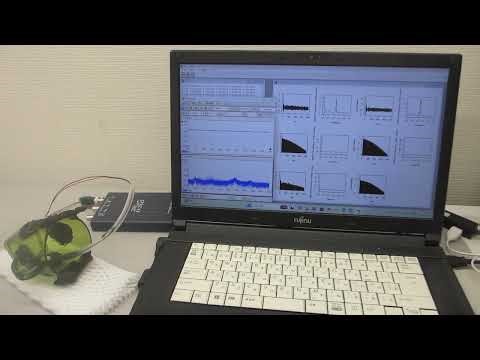 オリジナル超音波プローブの製造技術ーー音響特性テストーー（超音波システム研究所）