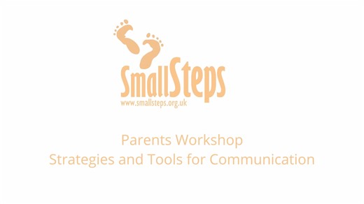 Small Steps Workshop on Strategies and Tools for Communication
