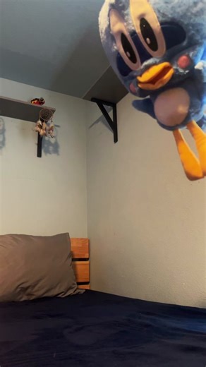 #sonicplushadventure #sonicplushvideos #sonicplushtiktoks