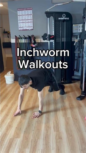 Inchworm Walkouts - Exercise Demonstration