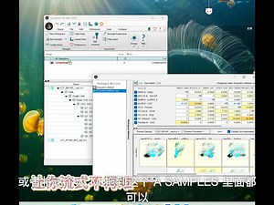流式数据分析Flowjo基础教学 套模板流程